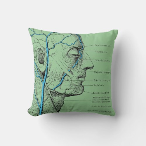 Head and veins _ anatomy throw pillow