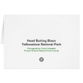 Head Butting Bison - Card (Back Horizontal)