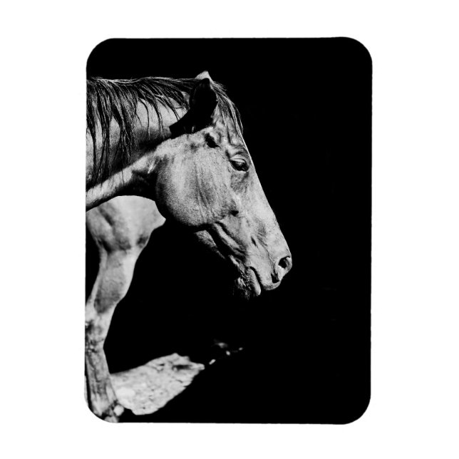 head horse's leg magnet (Vertical)