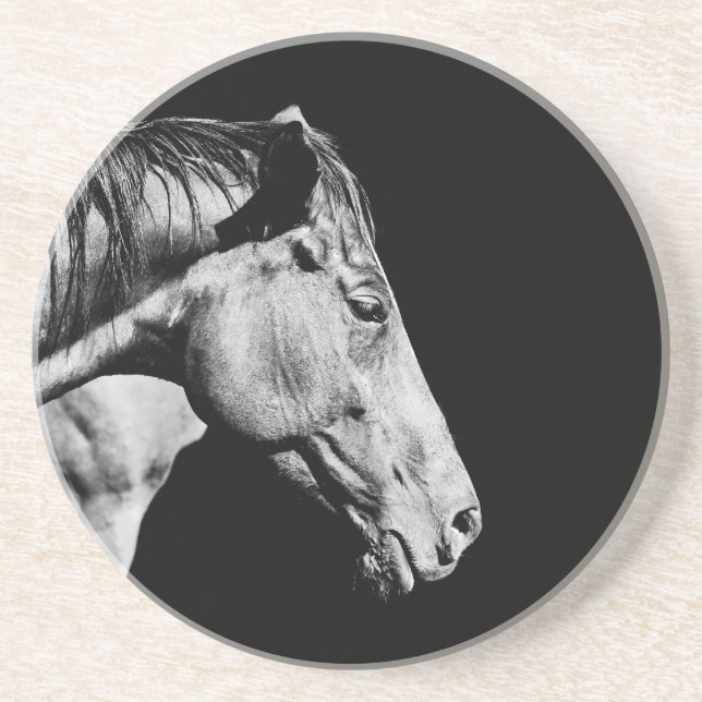 head horse's leg sandstone coaster (Front)