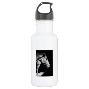 head horse's leg water bottle
