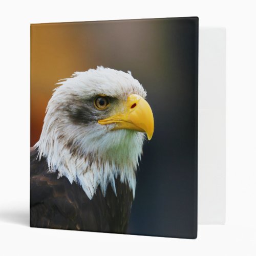 Head of a Bald Eagle Haliaeetus Leucocephalus 3 Ring Binder