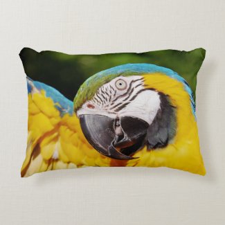 Head of a Blue and Yellow Macaw 
