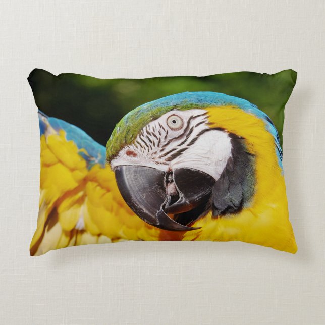 Head of a Blue and Yellow Macaw  Accent Pillow (Front)