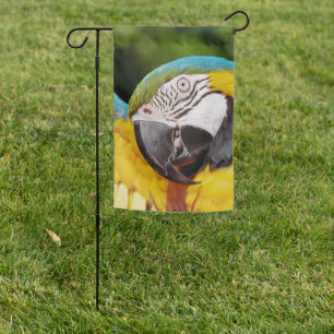 Head of a Blue and Yellow Macaw Garden Flag