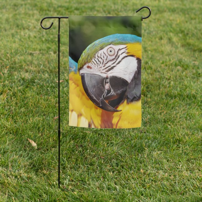 Head of a Blue and Yellow Macaw  Garden Flag (In SItu)