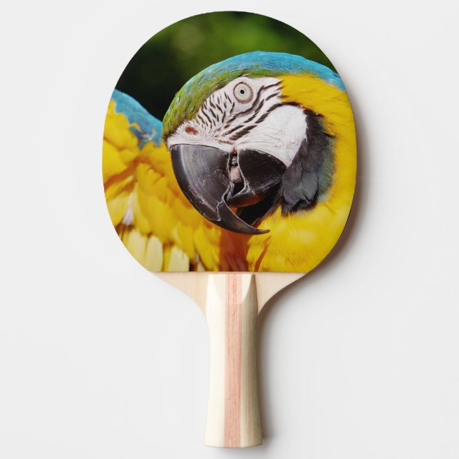 Head of a Blue and Yellow Macaw  Ping Pong Paddle (Front)