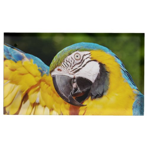Head of a Blue and Yellow Macaw  Place Card Holder