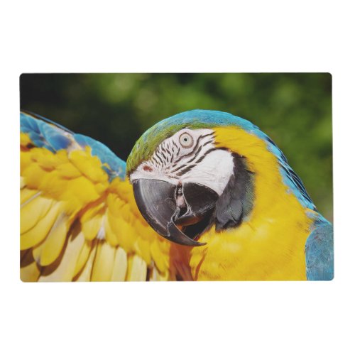Head of a Blue and Yellow Macaw  Placemat