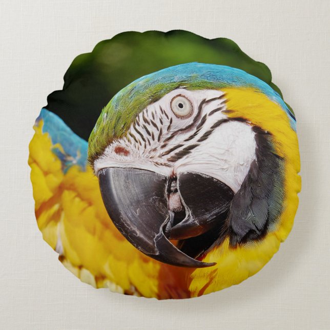 Head of a Blue and Yellow Macaw  Round Pillow (Front)