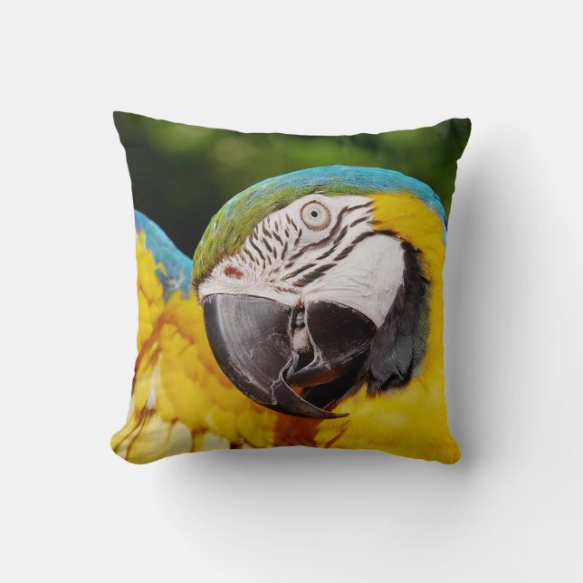 Head of a Blue and Yellow Macaw  Throw Pillow (Front)