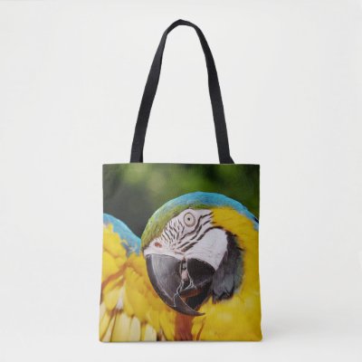 Head of a Blue and Yellow Macaw 