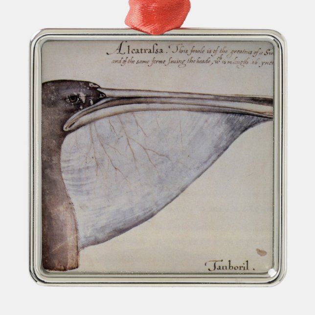 Head of a Brown Pelican Metal Ornament (Front)