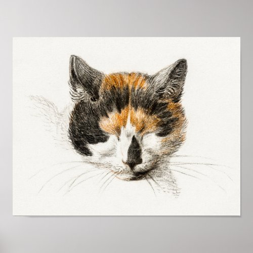Head of a Calico Cat Vintage Animal Art Poster
