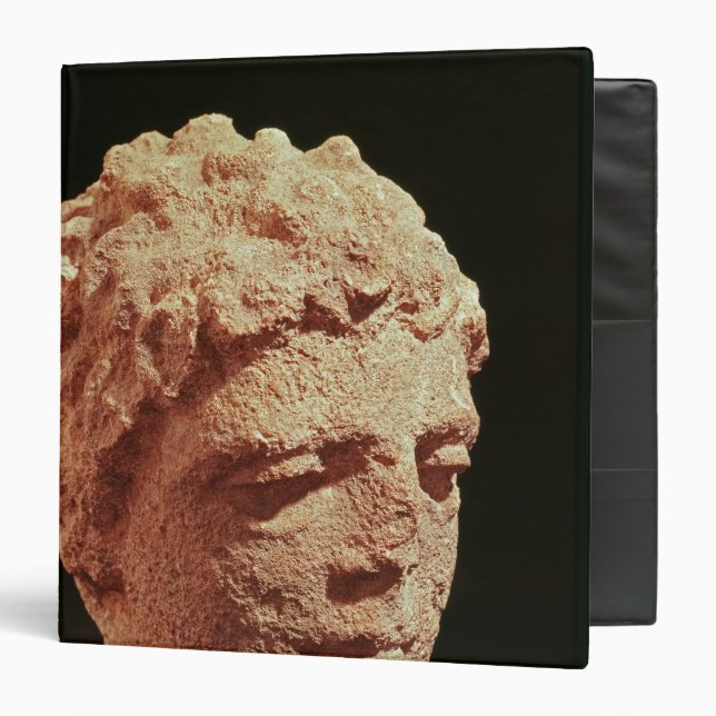 Head of a Divinity 3 Ring Binder (Front/Inside)