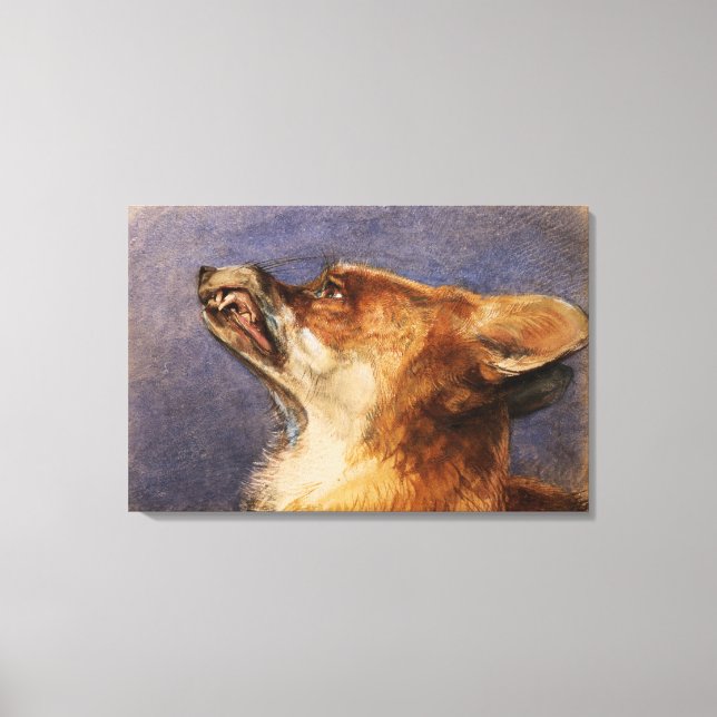 Head of a Fox Canvas Print (Front)