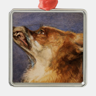 Head of a Fox Metal Ornament