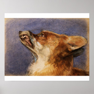 Head of a Fox Poster