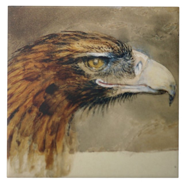 Head of a Golden Eagle (by John Ruskin) Ceramic Tile (Front)