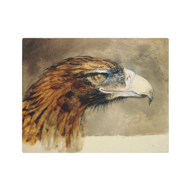 Head of a Golden Eagle (by John Ruskin) Metal Print (Front)