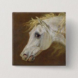 Head of a Grey Arabian Horse (oil on canvas on pan Button