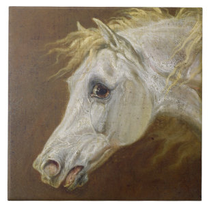 Head of a Grey Arabian Horse (oil on canvas on pan Ceramic Tile