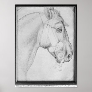 Head of a horse, from the The Vallardi Album Poster