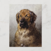 Head of a Leonberger Dog Painting