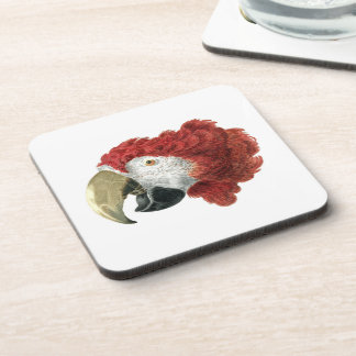 Head of a Macaw (1725–1792) Aert Schouman Beverage Coaster