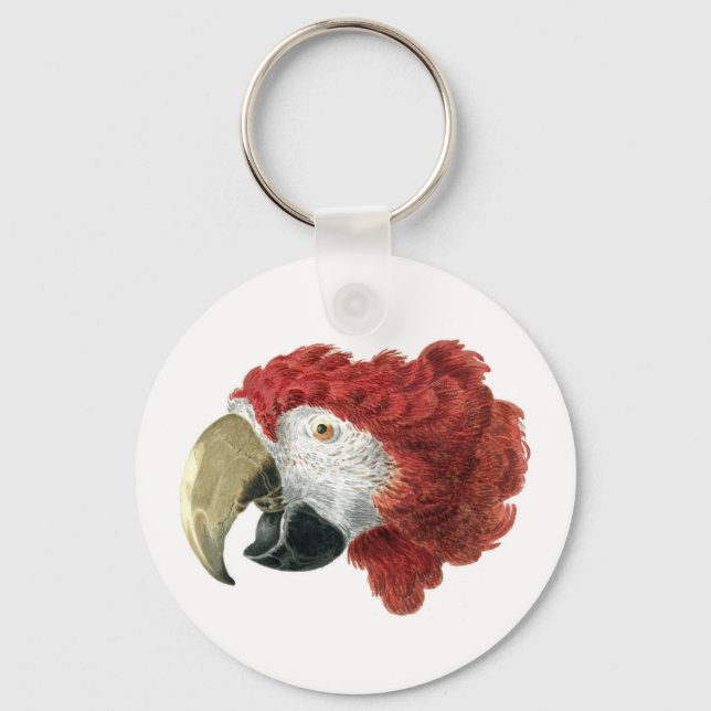 Head of a Macaw (1725–1792) Aert Schouman Keychain (Back)