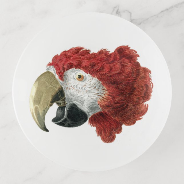 Head of a Macaw (1725–1792) Aert Schouman Trinket Tray (Front)