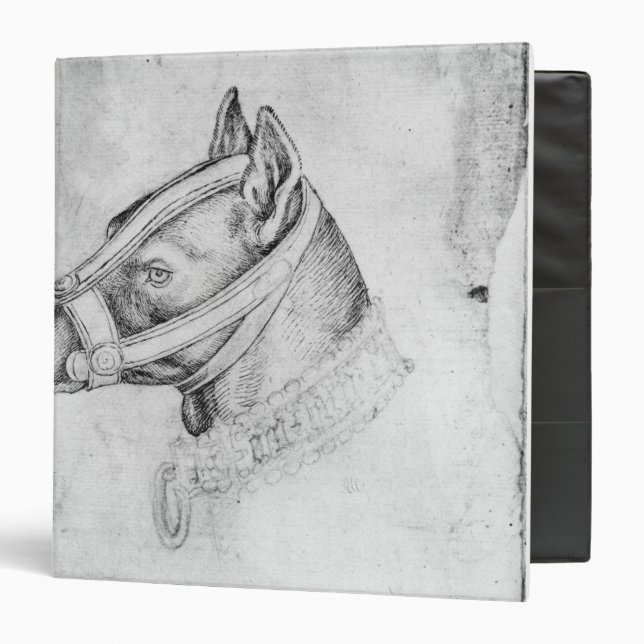 Head of a muzzled dog 3 ring binder (Front/Inside)