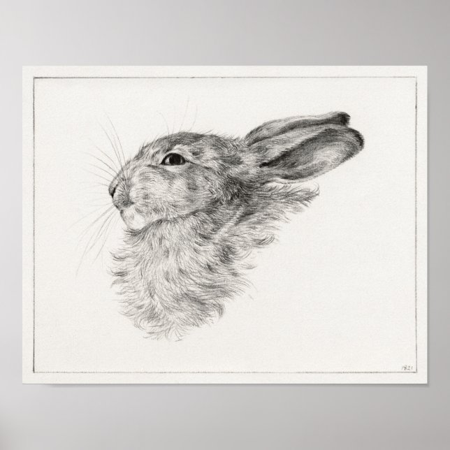 Head of a rabbit (1821) Jean Bernard.  Poster (Front)