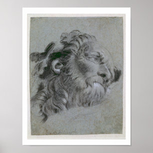 Head of a River-God, c.1751 (black chalk heightene Poster
