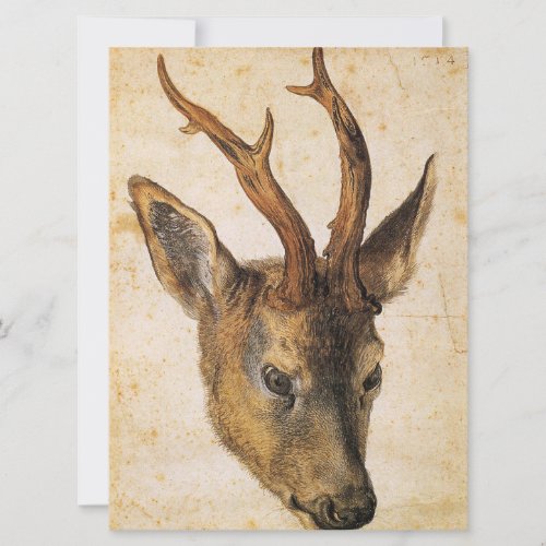Head of a Stag Wild Animal by Albrecht Durer Card