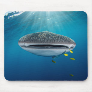 Whale Print Mouse Pad
