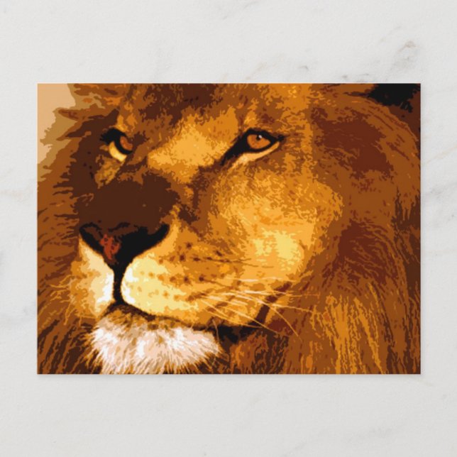 Head of African Lion Postcard (Front)