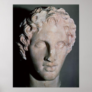 Head of Alexander the Great Poster