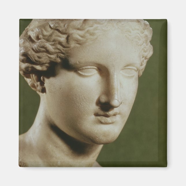 Head of Artemis Magnet (Front)