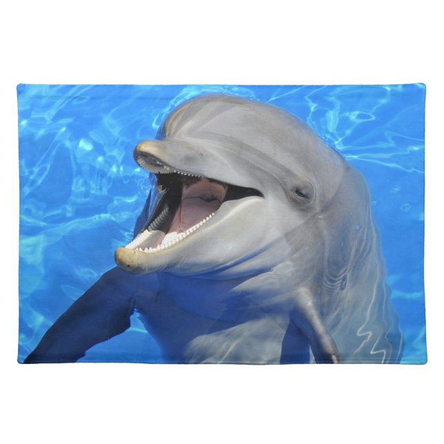 Head of  bottlenose dolphin cloth placemat (Front)