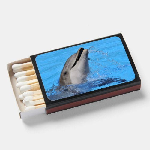 Head of bottlenose dolphin matchboxes