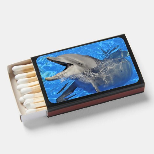 Head of bottlenose dolphin matchboxes