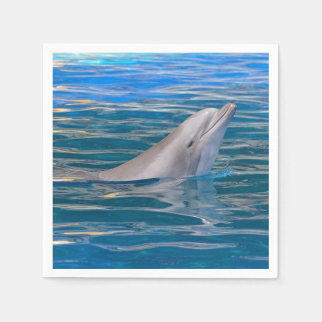 Head of bottlenose dolphin napkins (Front)
