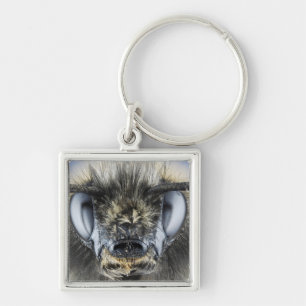Head of bumblebee keychain
