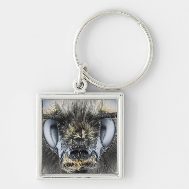 Head of bumblebee keychain (Front)