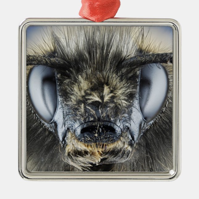 Head of bumblebee metal ornament (Front)