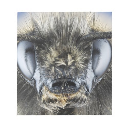 Head of bumblebee notepad