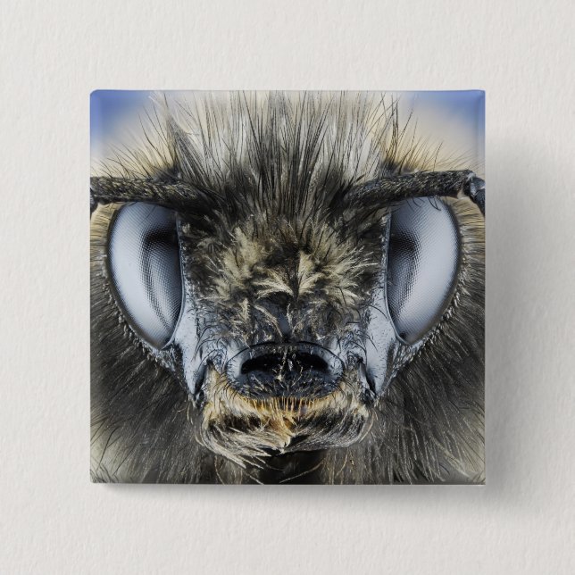 Head of bumblebee pinback button (Front)