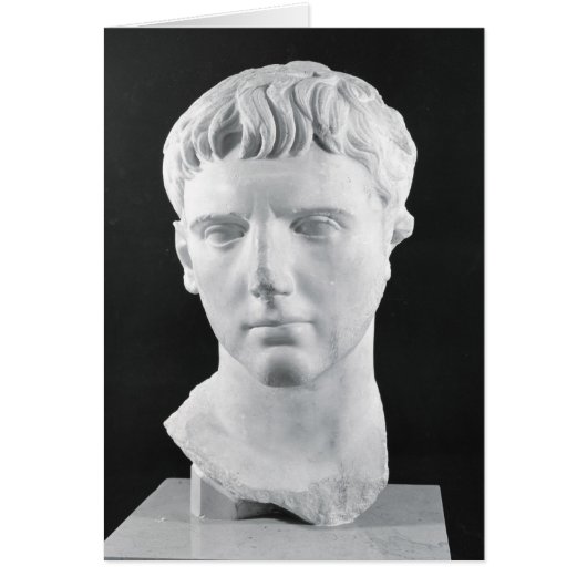 Head of Caesar Augustus Cards (Front)