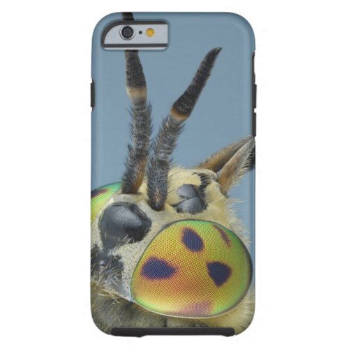 Head of deer fly tough iPhone 6 case